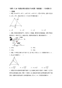 专题 17.20 勾股定理全章复习与巩固（培优篇）（专项练习）-八年级数学下册基础知识专项讲练（人教版）