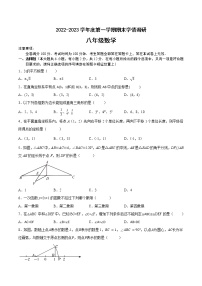 江苏省南京市2022-2023学年八年级上学期数学期末备考卷Ⅱ（含答案）