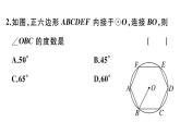 北师大版九年级数学下3.8 圆内接正多边形课堂练习课件