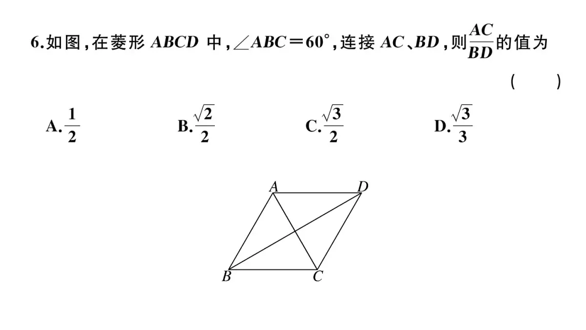 北师大版九年级数学下2023年中考模拟卷二习题课件第5页