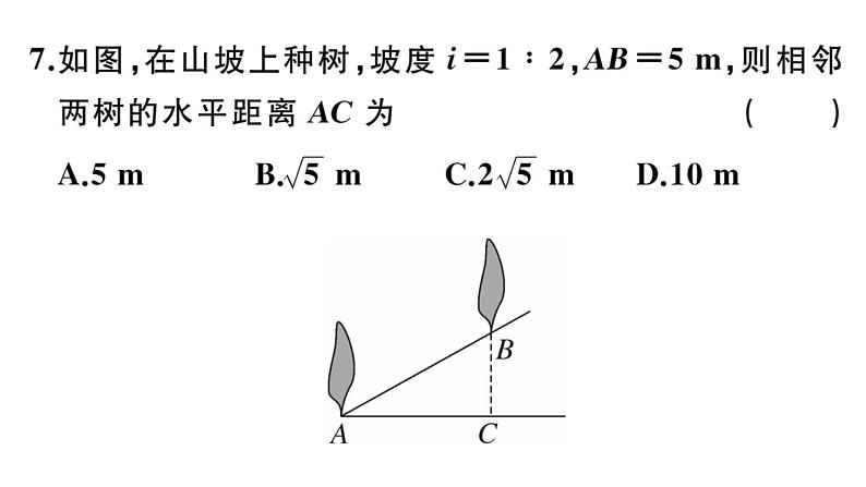 北师大版九年级数学下第一章直角三角形的边角关系1.1 第1课时 正切与坡度课后练习课件第7页