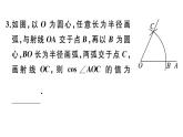 北师大版九年级数学下第一章直角三角形的边角关系1.2 30°，45°，60°角的三角函数值课后练习课件