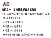 北师大版九年级数学下第一章直角三角形的边角关系1.4 解直角三角形课后练习课件