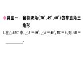 北师大版九年级数学下第一章直角三角形的边角关系模型构建专题：巧构直角三角形解决有关问题课后练习课件