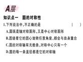 北师大版九年级数学下第三章圆3.2 圆的对称性课后练习课件
