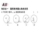 北师大版九年级数学下第三章圆3.4 第1课时 圆周角和圆心角的关系课后练习课件