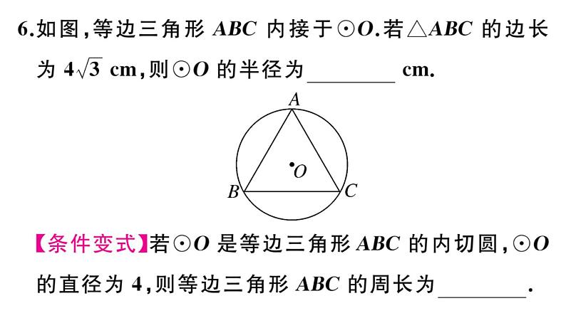 北师大版九年级数学下第三章圆3.8 圆内接正多边形课后练习课件07