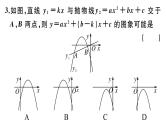 北师大版九年级数学下第二章二次函数解题技巧专题：解决抛物线中与系数a,b,c有关的问题课后练习课件