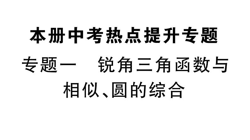 北师大版九年级数学下中考热点提升专题一 锐角三角形与相似、圆的综合课后练习课件第1页