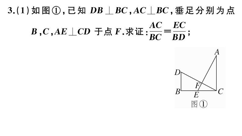 北师大版九年级数学下中考热点提升专题一 锐角三角形与相似、圆的综合课后练习课件第7页