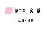 北师大版八年级数学上第二章实数2.1 认识无理数课堂习题课件
