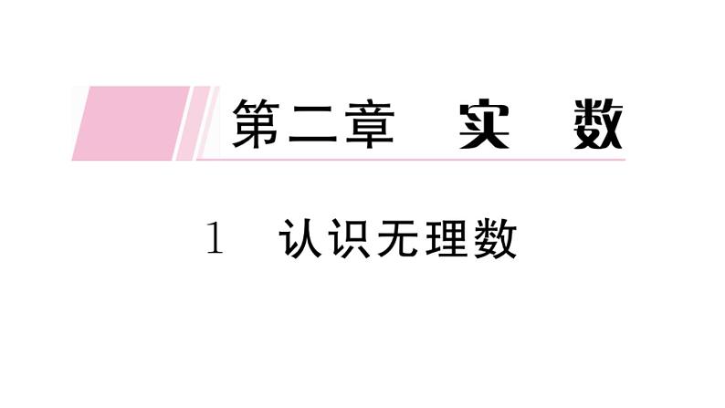 北师大版八年级数学上第二章实数2.1 认识无理数课堂习题课件第1页