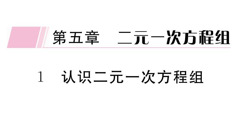 北师大版八年级数学上第五章二元一次方程组5.1 认识二元一次方程组课堂习题课件第1页