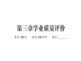 北师大版八年级数学上第三章学业质量评价章节习题课件
