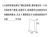 北师大版八年级数学上第一章勾股定理1.3 勾股定理的应用课后习题课件