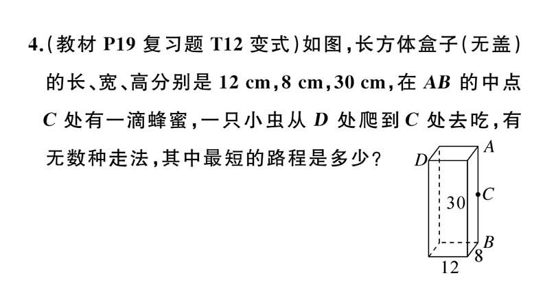 北师大版八年级数学上第一章勾股定理1.3 勾股定理的应用课后习题课件05