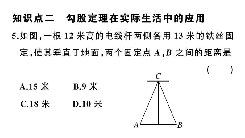 北师大版八年级数学上第一章勾股定理1.3 勾股定理的应用课后习题课件07