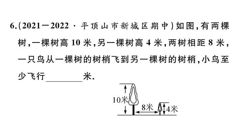 北师大版八年级数学上第一章勾股定理1.3 勾股定理的应用课后习题课件08