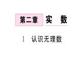 北师大版八年级数学上第二章实数2.1 认识无理数课后习题课件