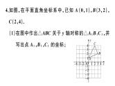 北师大版八年级数学上第三章位置与坐标3.3 轴对称与坐标变化课后习题课件