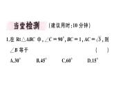 北师大版九年级数学下1.4 解直角三角形课堂练习课件