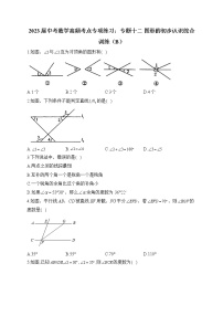 2023届中考数学高频考点专项练习：专题十二 图形的初步认识综合训练（B）