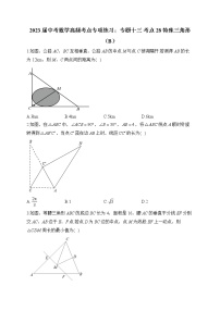 2023届中考数学高频考点专项练习：专题十三 考点28 特殊三角形（B）