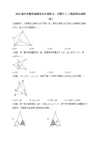 2023届中考数学高频考点专项练习：专题十三 三角形综合训练（B）