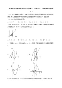 2023届中考数学高频考点专项练习：专题十一 二次函数综合训练（B）