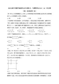 2023届中考数学高频考点专项练习：专题四 考点10 二元一次方程（组）及其应用（B）