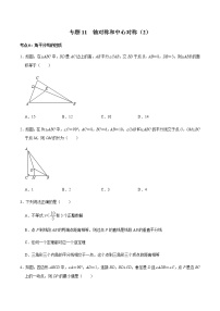 专题11  轴对称和中心对称（2）-2022-2023学年八年级数学上册期末复习考点强化训练（冀教版）