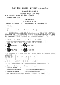 2022—2023学年四川省成都市金牛区实验外国语学校九年级上学期期中数学试题(含答案)