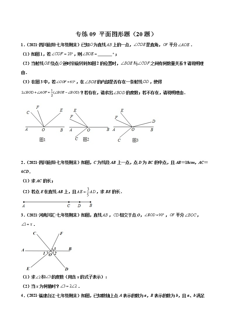 【期末题型专练】2022-2023学年 苏科版数学 七年级上学期 期末必刷200题-专练09 平面图形题（20题）01