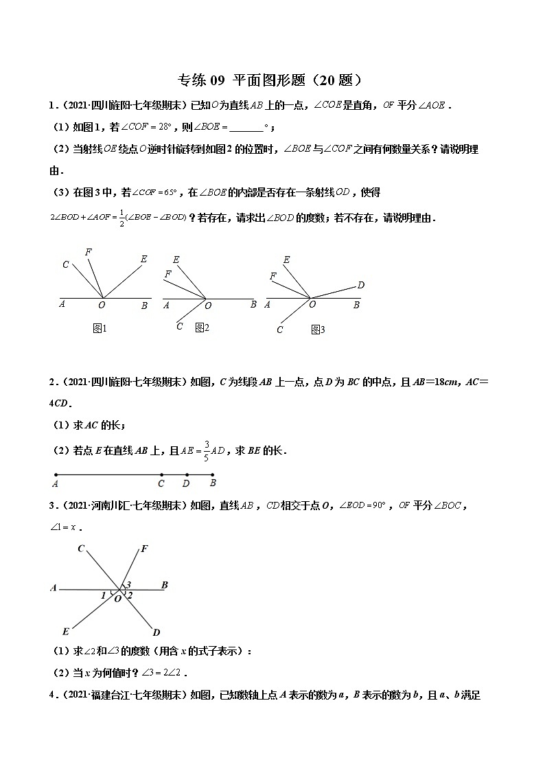 【期末题型专练】2022-2023学年 苏科版数学 七年级上学期 期末必刷200题-专练09 平面图形题（20题）01
