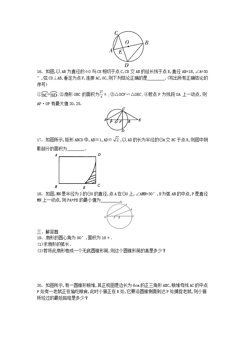 2022年九年级中考数学  人教版 提升训练 圆第3页