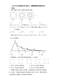 2023年九年级数学中考复习：观察猜想训练题附答案