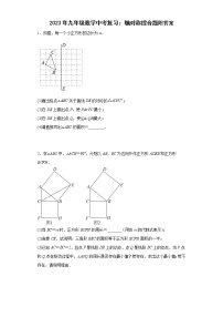 2023年九年级数学中考复习：轴对称综合题附答案