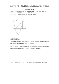 2023年九年级中考数学复习：二次函数综合训练--特殊三角形问题附答案