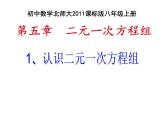 八年级数学北师大版上册 5.1 二元一次方程组   课件4