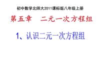 北师大版八年级上册1 认识二元一次方程组教课内容课件ppt