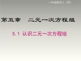 八年级数学北师大版上册 5.1 二元一次方程组   课件2