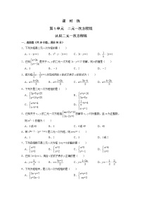 初中数学1 认识二元一次方程组同步训练题