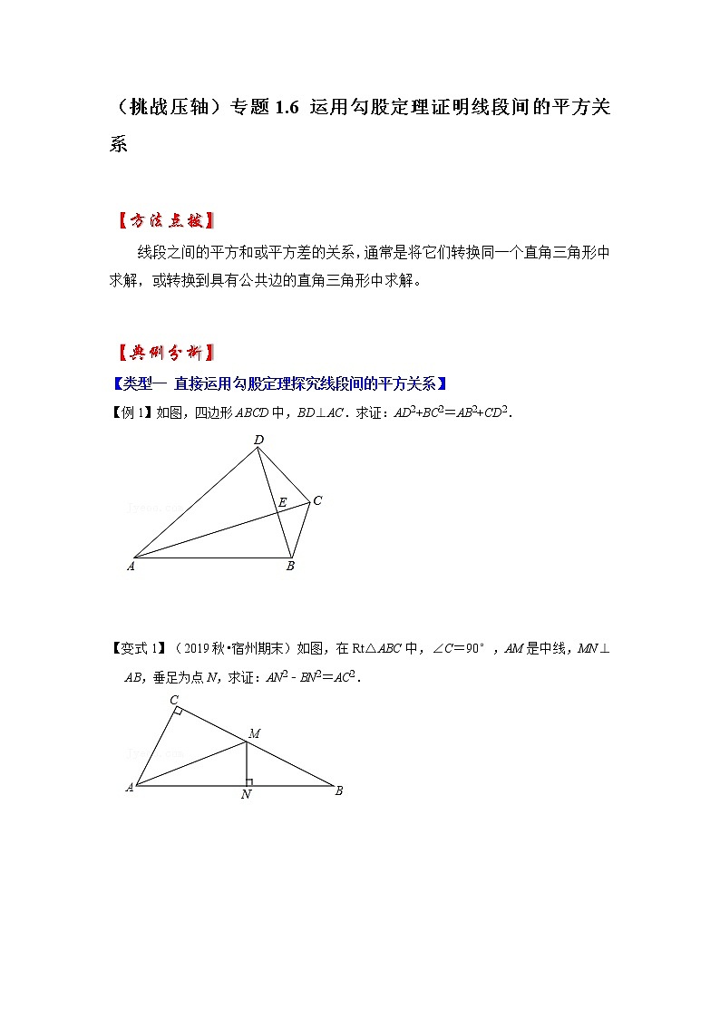 （挑战压轴）专题1.6 运用勾股定理证明线段间的平方关系-2022-2023学年八年级数学上册《同步考点解读•专题训练》（北师大版）第1页