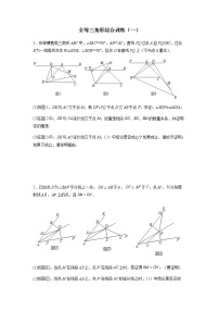 全等三角形综合训练（一）-八年级数学上册全等三角形基本模型探究（人教版）