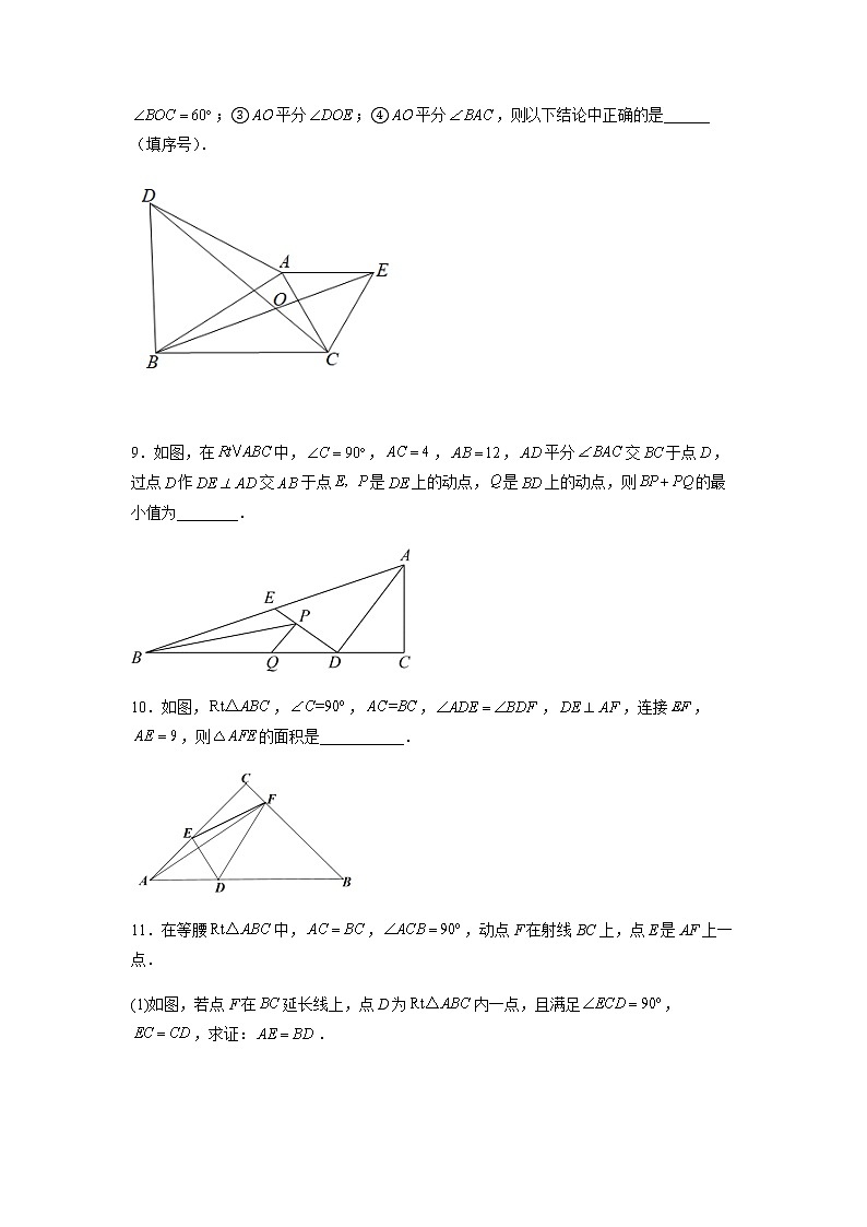 全等三角形综合训练（四）（原卷版） 第3页