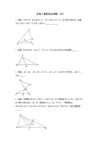 全等三角形综合训练（五）-八年级数学全等三角形基本模型探究（人教版）