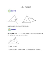 专题02 手拉手模型-八年级数学上册全等三角形基本模型探究（人教版）