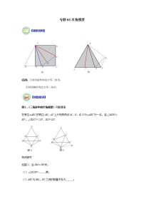 专题03 半角模型-八年级数学上册全等三角形基本模型探究（人教版）