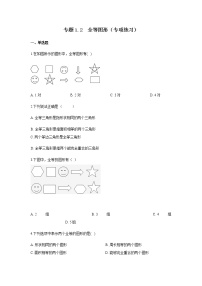 专题1.2 全等图形（专项练习）-八年级数学上册基础知识专项讲练（苏科版）