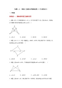 专题1.8 探索三角形全等的条件2（专项练习）-八年级数学上册基础知识专项讲练（苏科版）